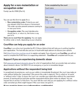 FL401 Application Form